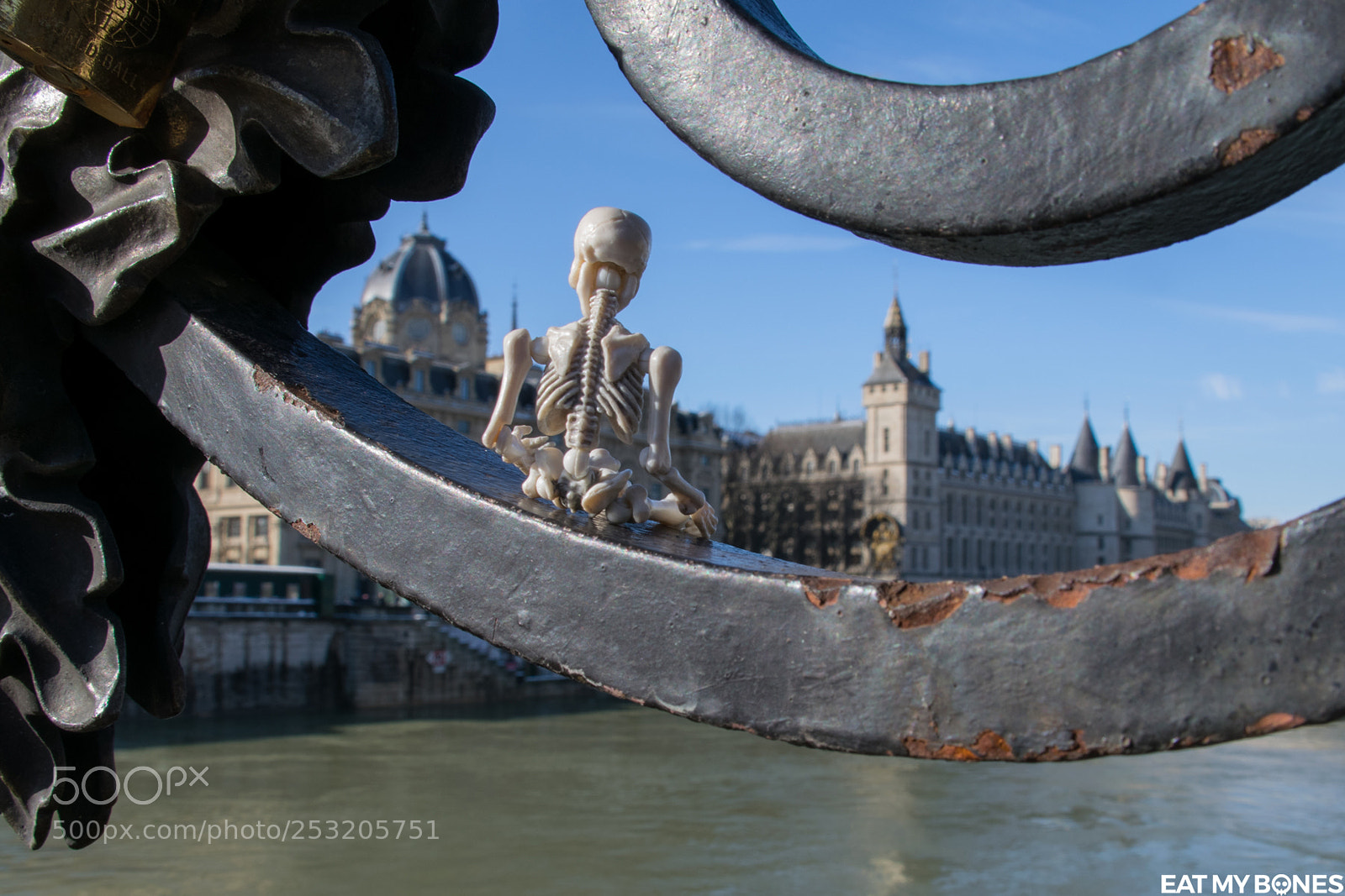 Nikon D5300 sample photo. Paris paris... photography