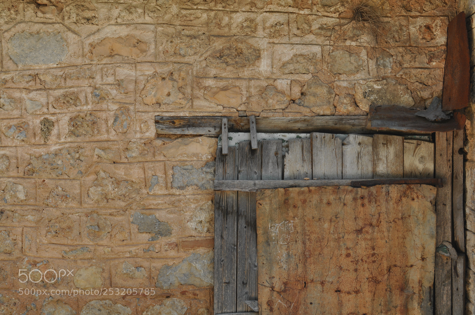 Nikon D5000 sample photo. Textures photography