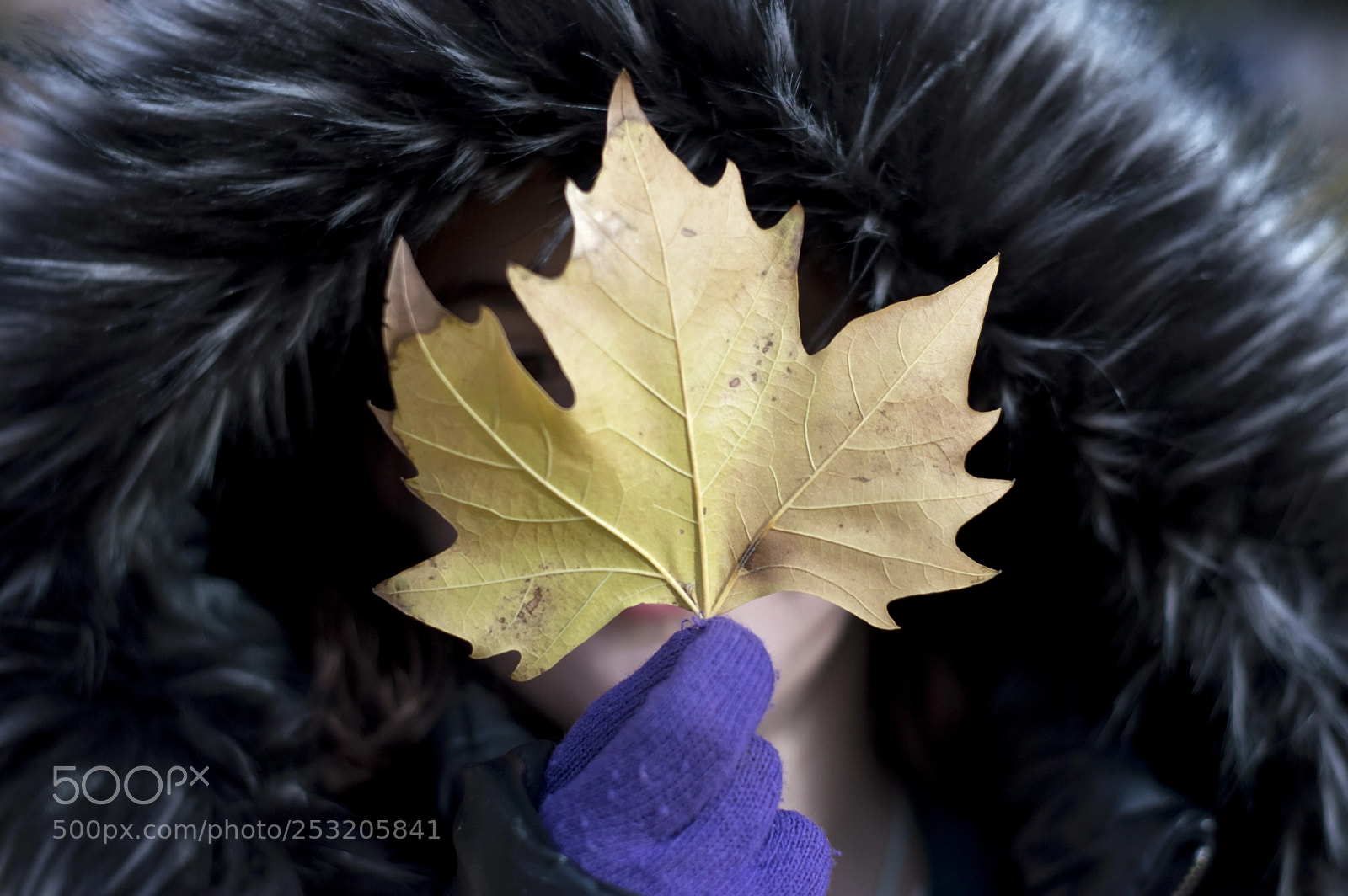 Nikon D3200 sample photo. Otoño photography