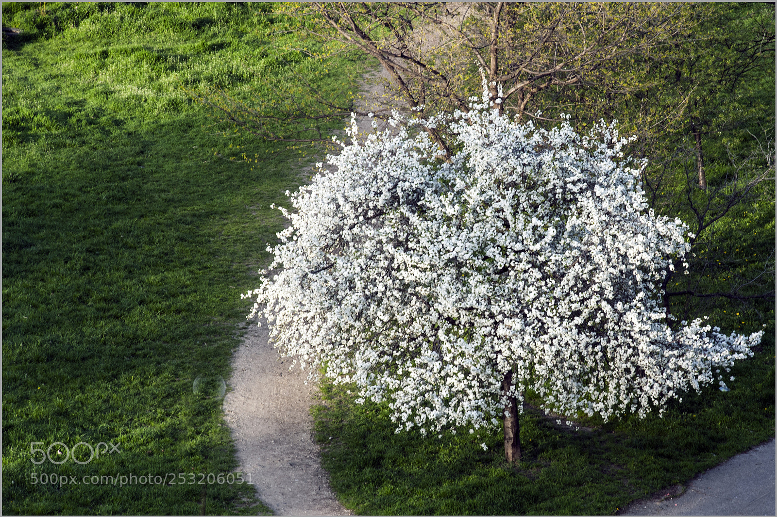 Nikon D700 sample photo. Awakening! photography