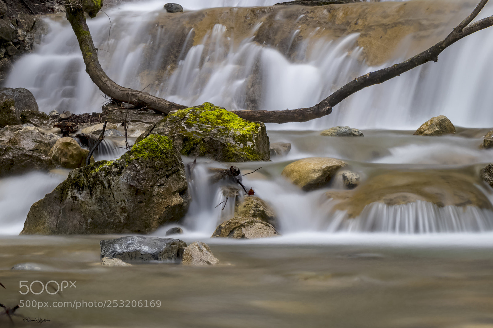 Canon EOS 80D sample photo. River and wood photography