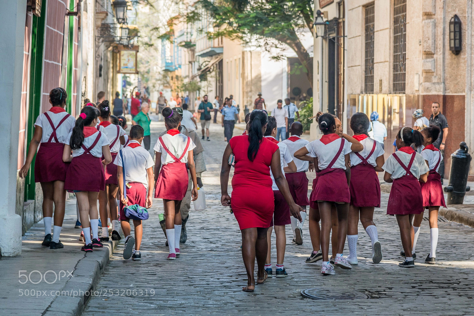 Nikon D800 sample photo. Cuba - on the photography