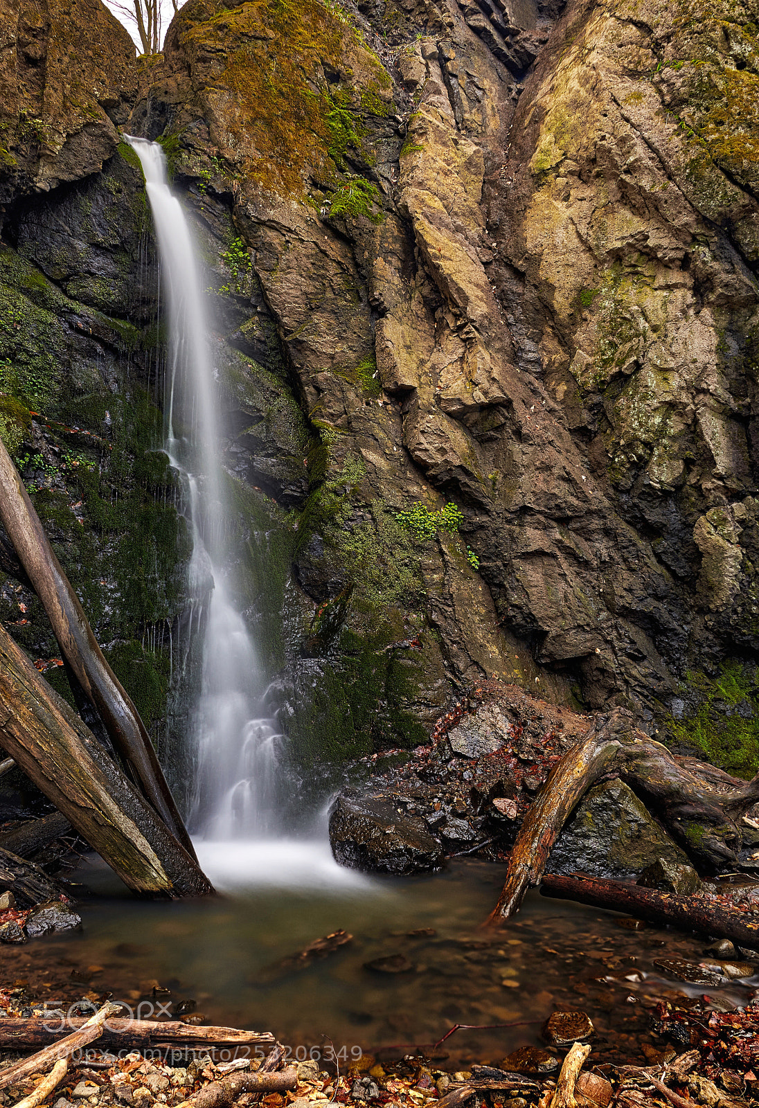 Nikon D7200 sample photo. Deep in the forest photography