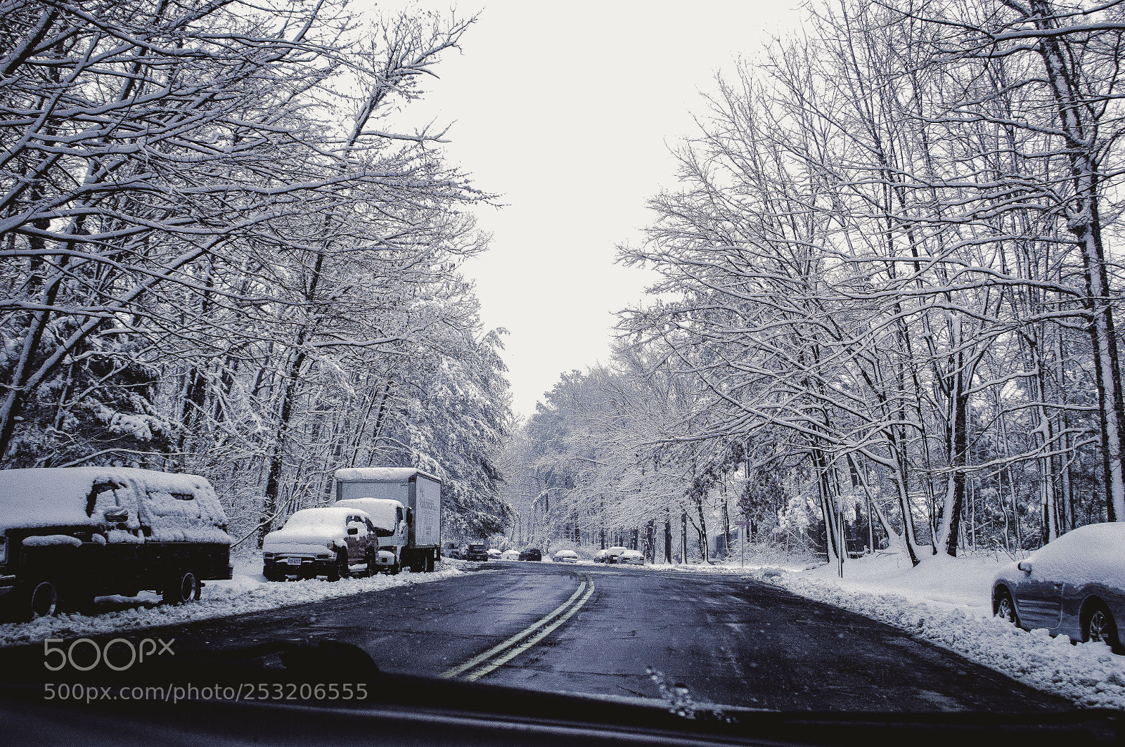 Nikon D3200 sample photo. A winter wonderland❄️☃️ photography