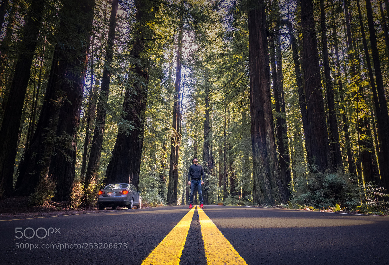 Sony a6000 sample photo. Driving among giants photography