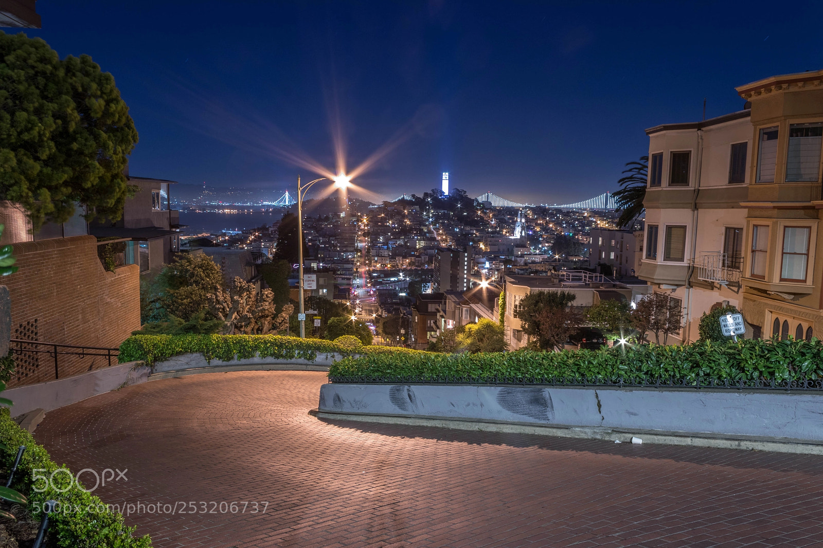Canon EOS 80D sample photo. Lombard st. photography