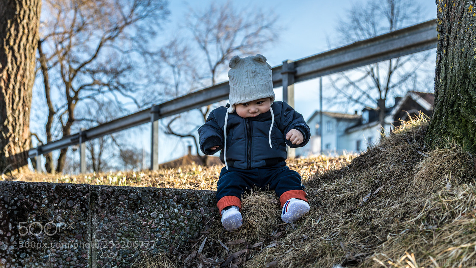 Canon EOS 5D Mark IV sample photo. Photo is not professional photography