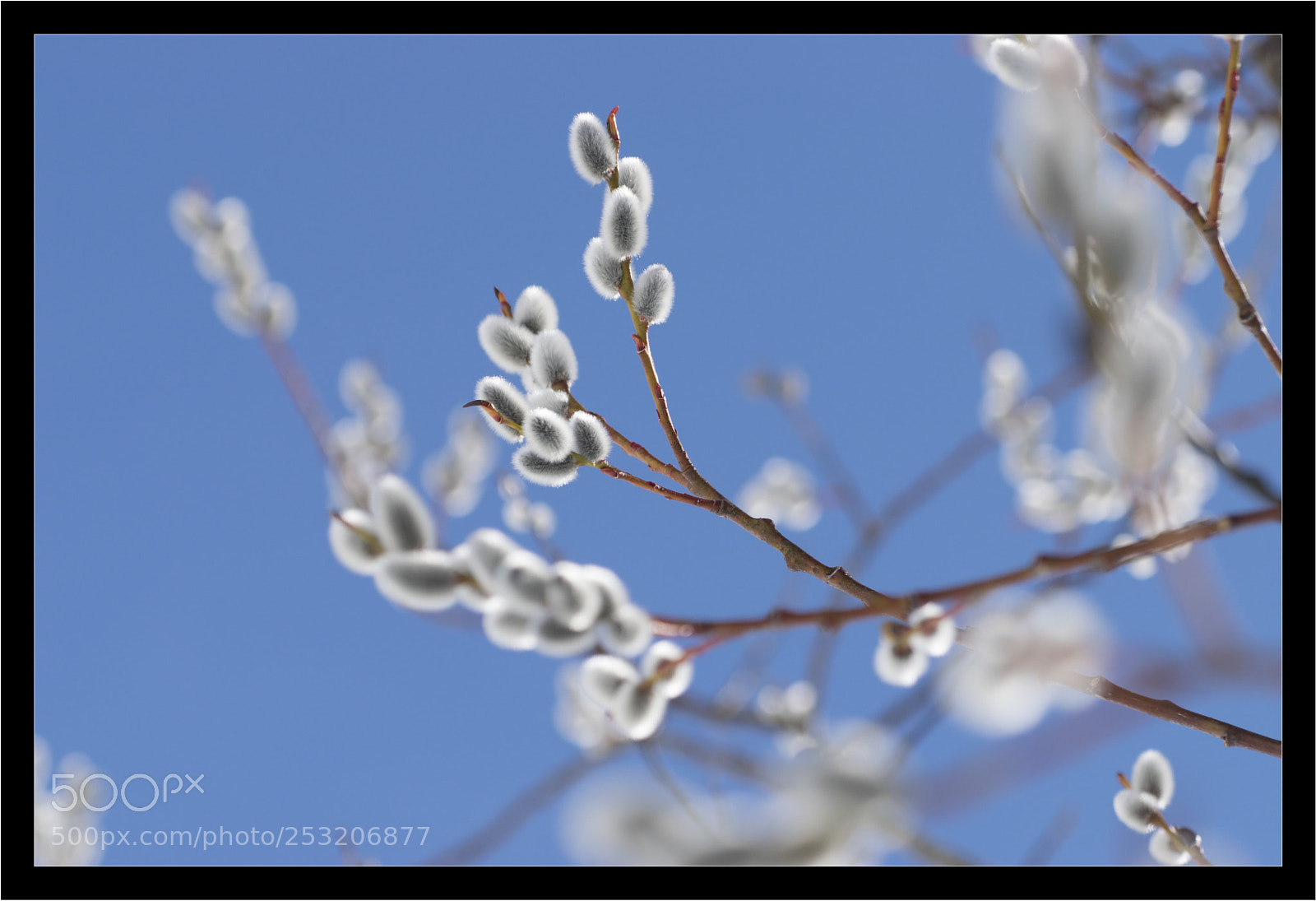 Nikon D5300 sample photo. Hiver printemps photography