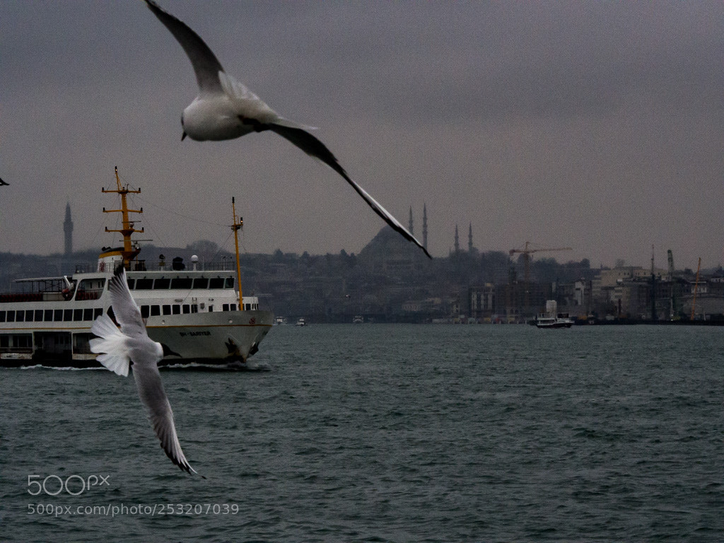 Olympus OM-D E-M10 II sample photo. Istanbul photography