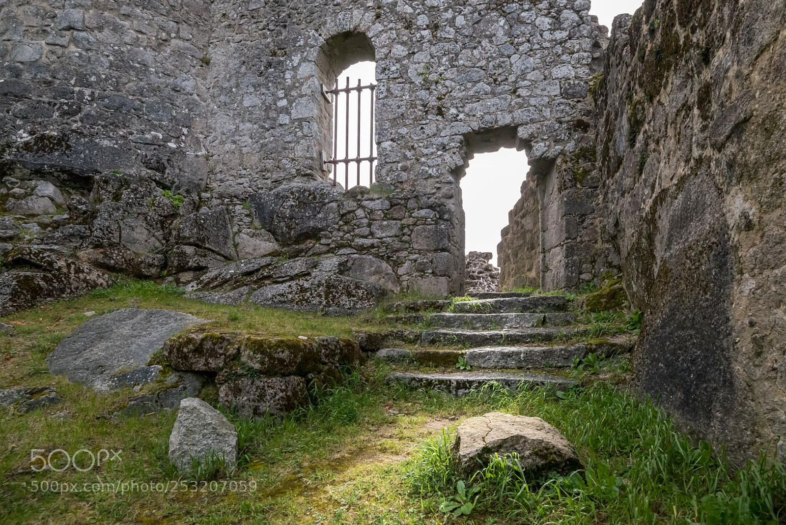 Nikon D810 sample photo. Vestiges du chateau de photography