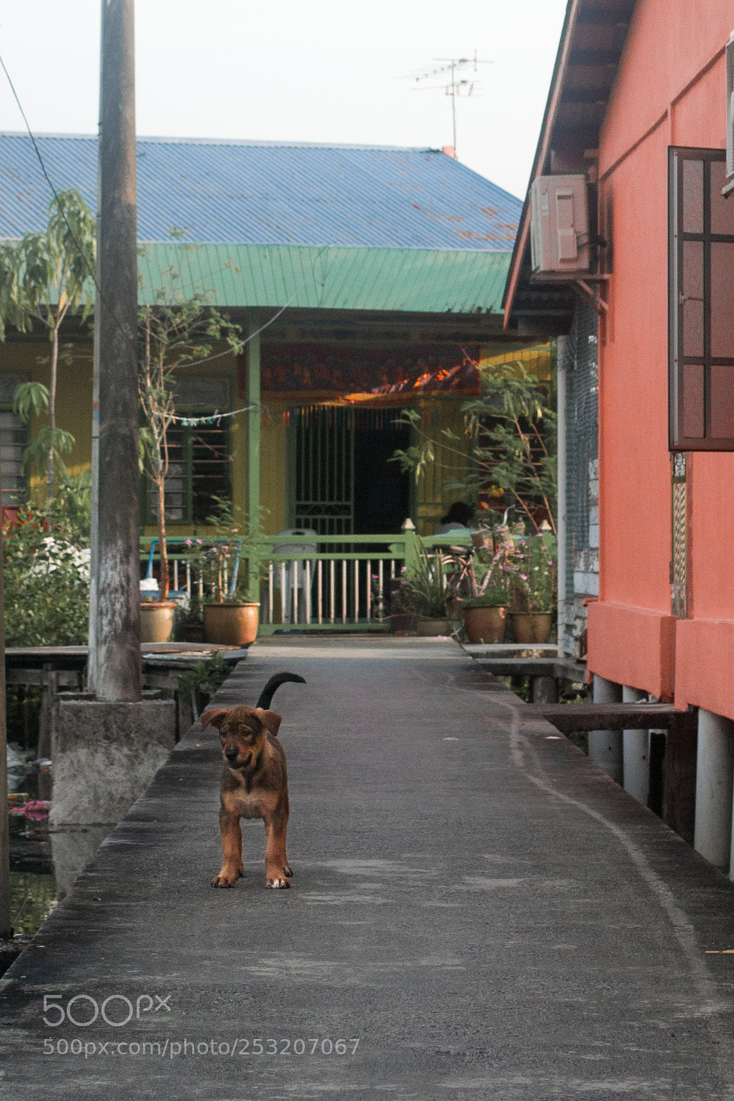 Nikon D3100 sample photo. Pulau ketam trip photography