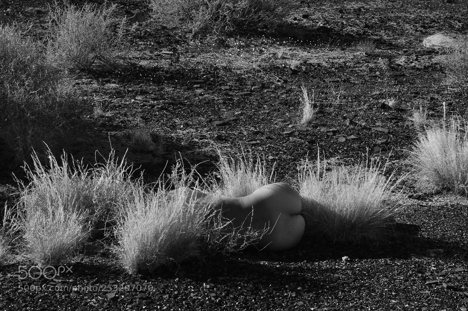 Nikon D90 sample photo. Untitled photography
