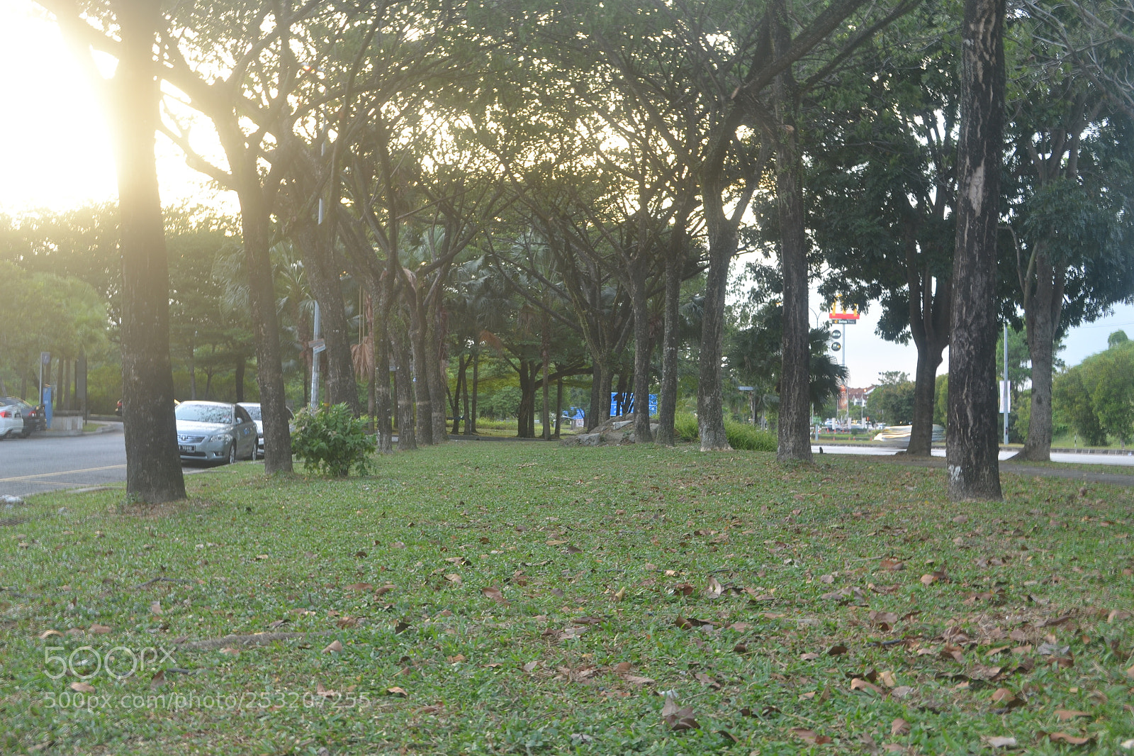 Nikon D3100 sample photo. Pulau ketam trip photography
