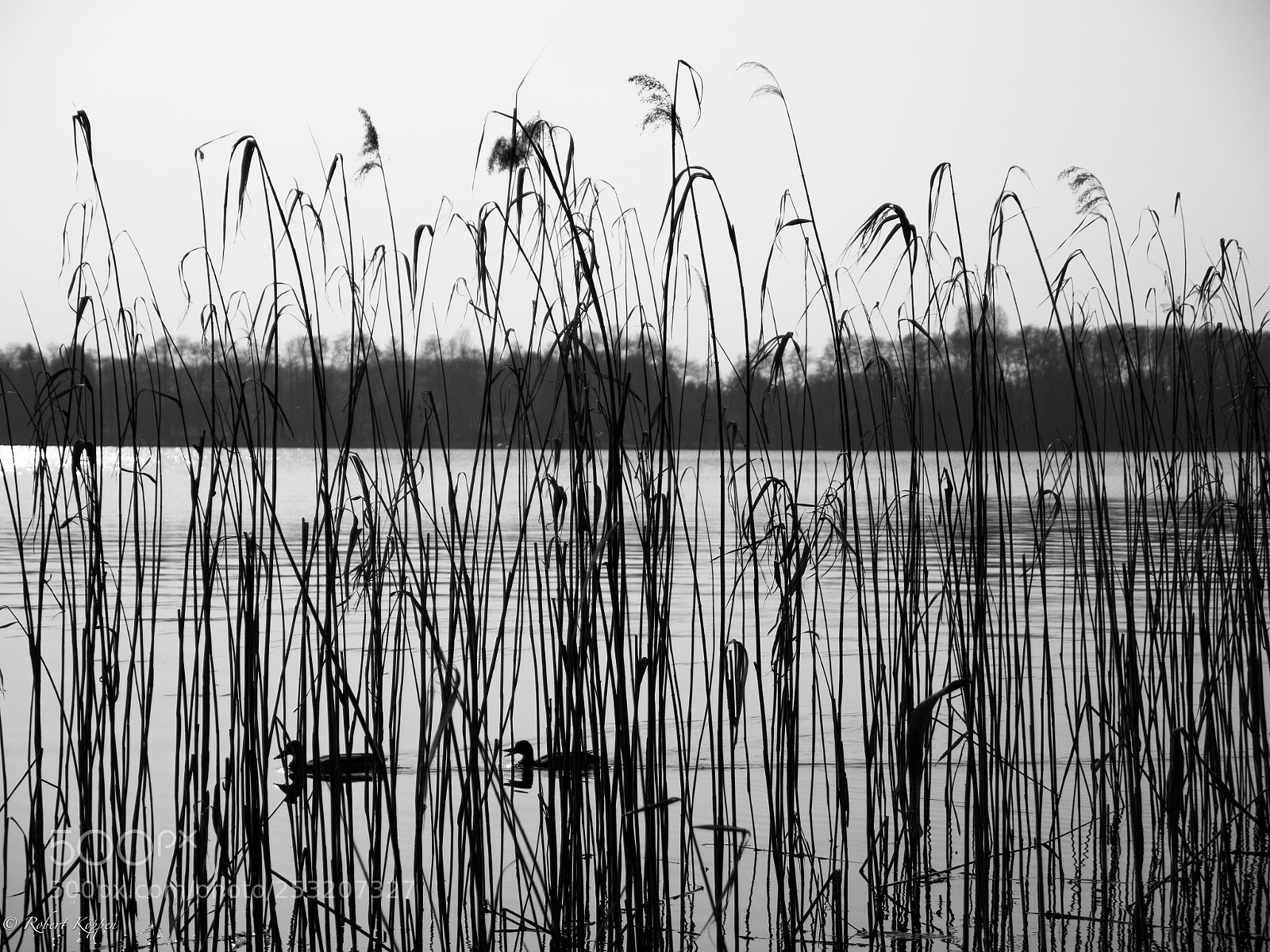 Olympus OM-D E-M1 sample photo. Lake photography