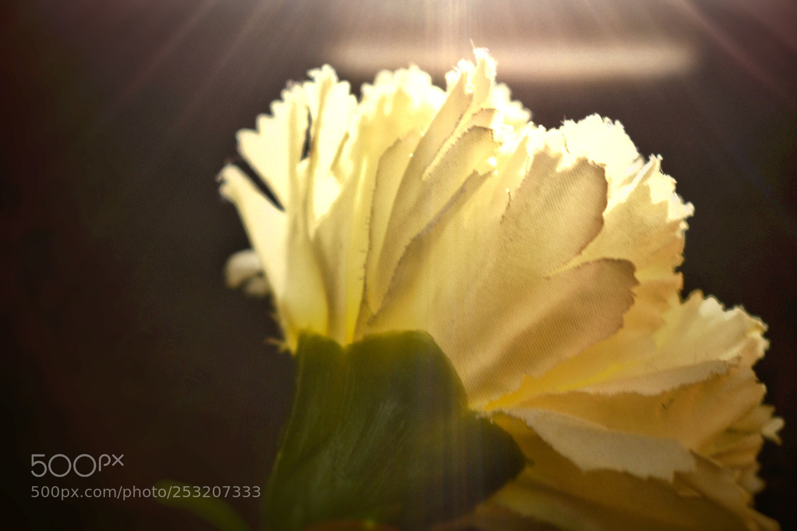 Nikon D5300 sample photo. Untitled photography