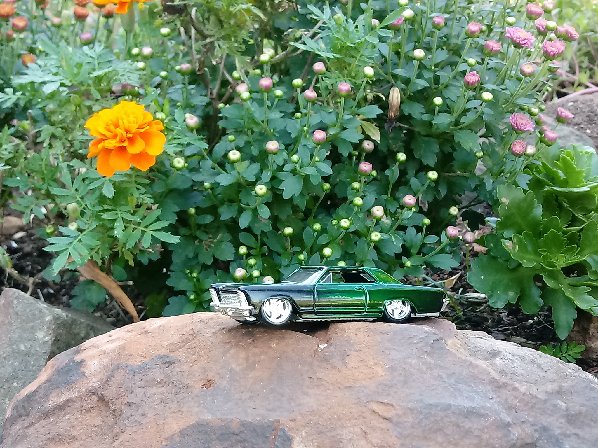 LG K10 (2017) sample photo