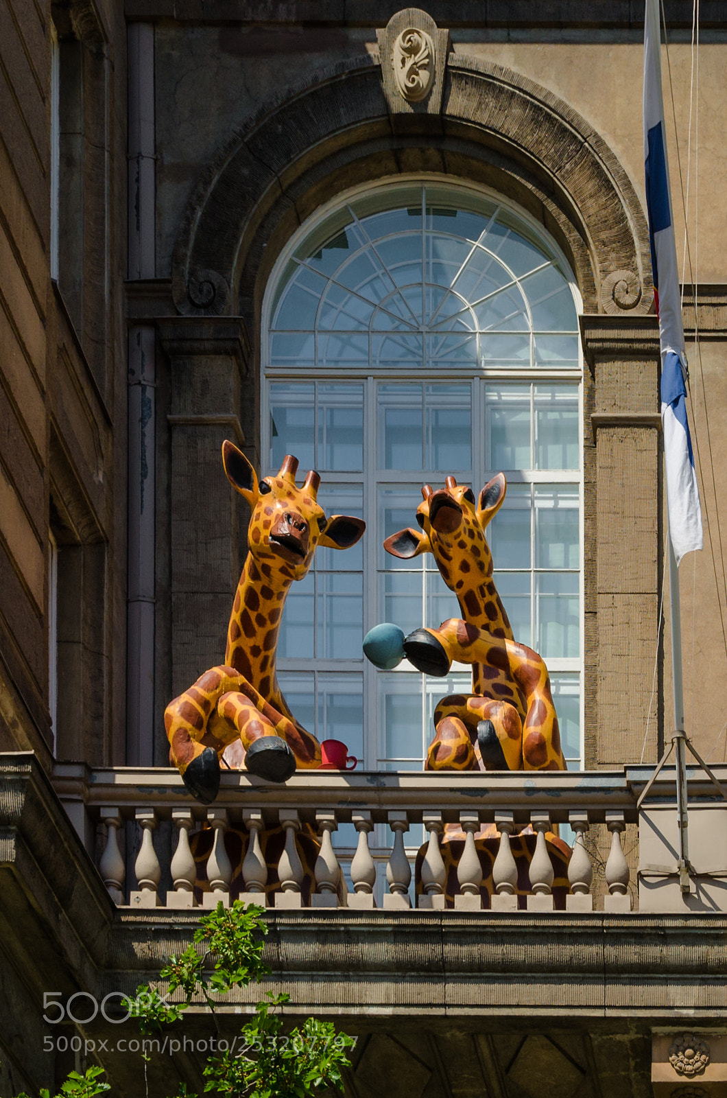 Nikon D7000 sample photo. Giraffes of helsinki photography