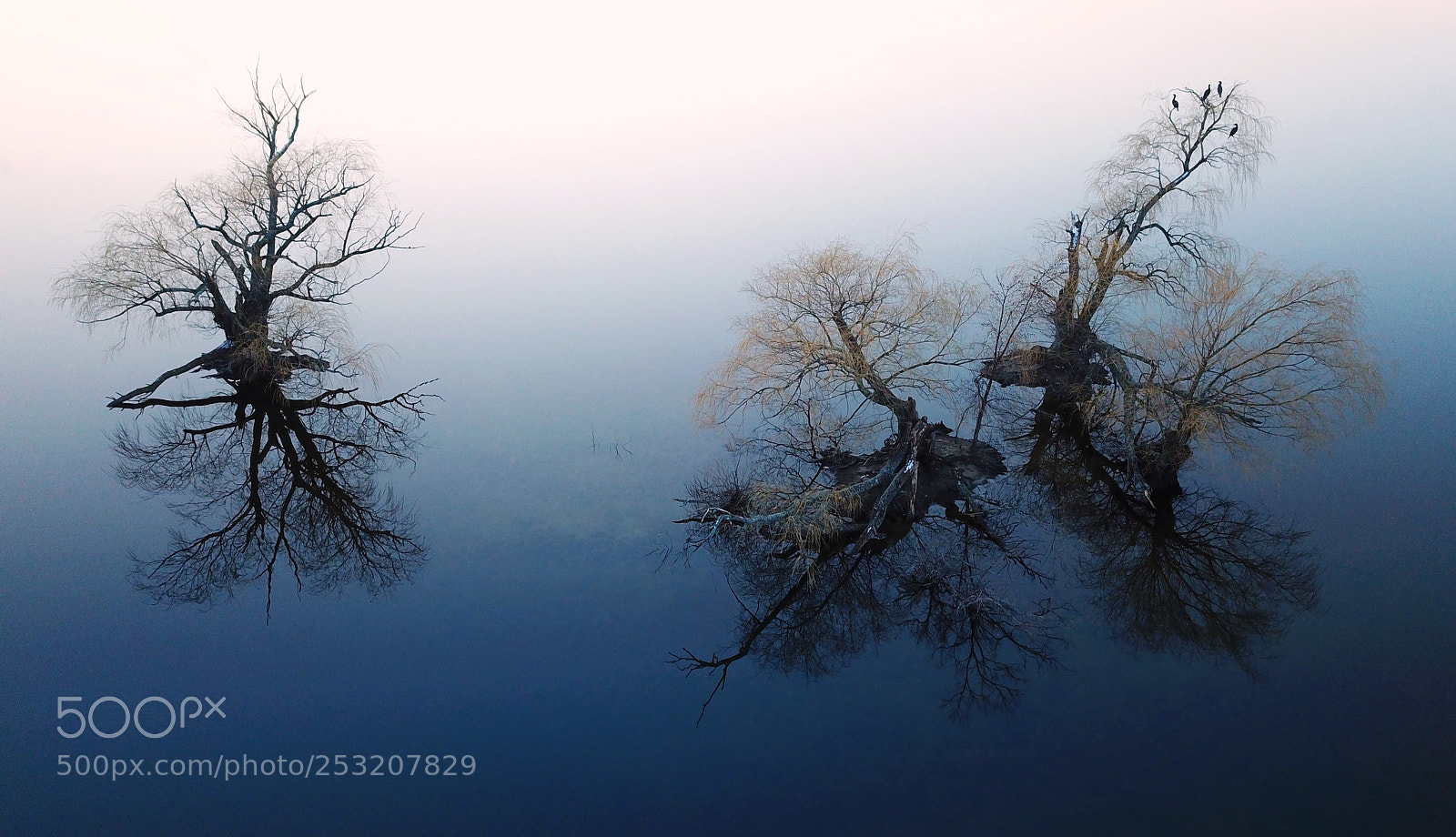 DJI FC220 sample photo. Horn pond photography