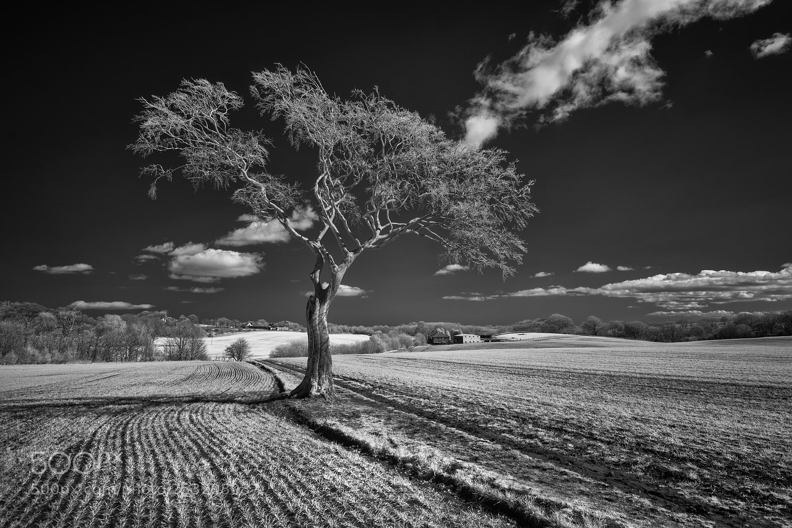 Sony a7R sample photo. Isolation photography