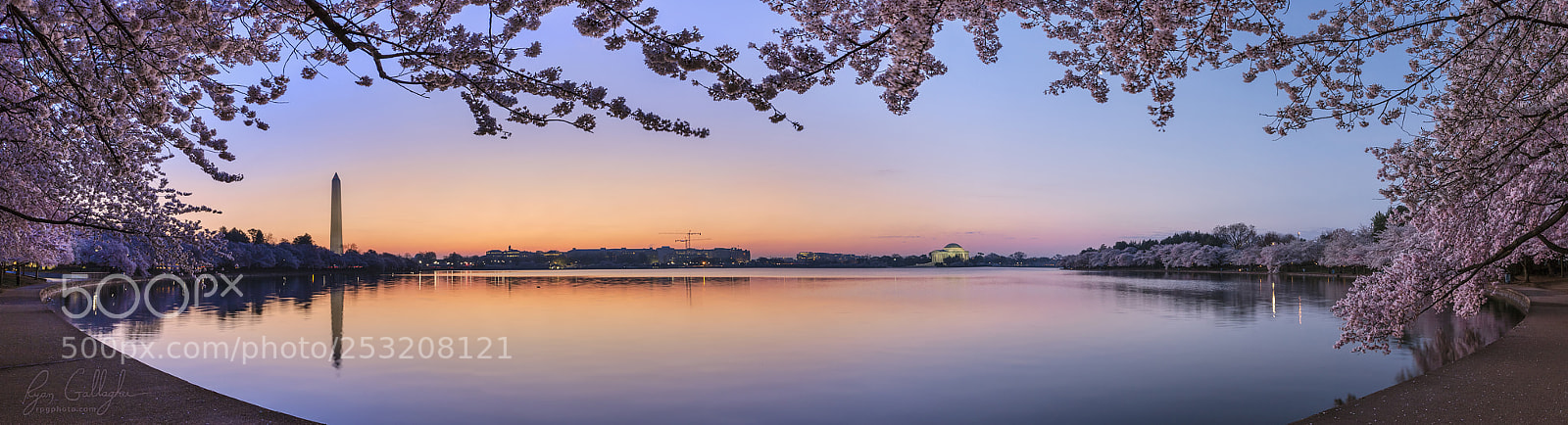 Canon EOS 7D Mark II sample photo. Dawn cherry blossoms at photography