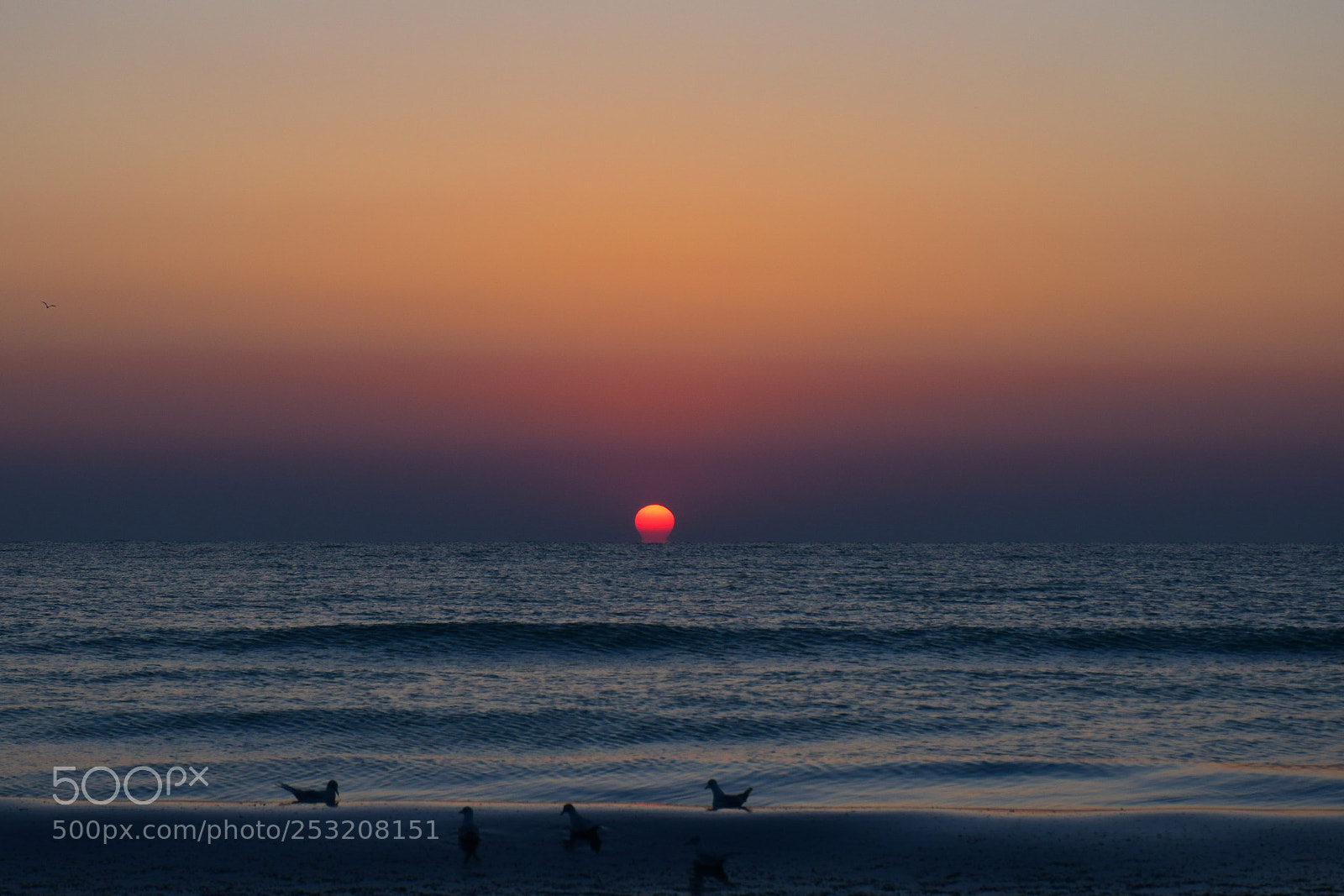 Nikon D5300 sample photo. Sunrise photography