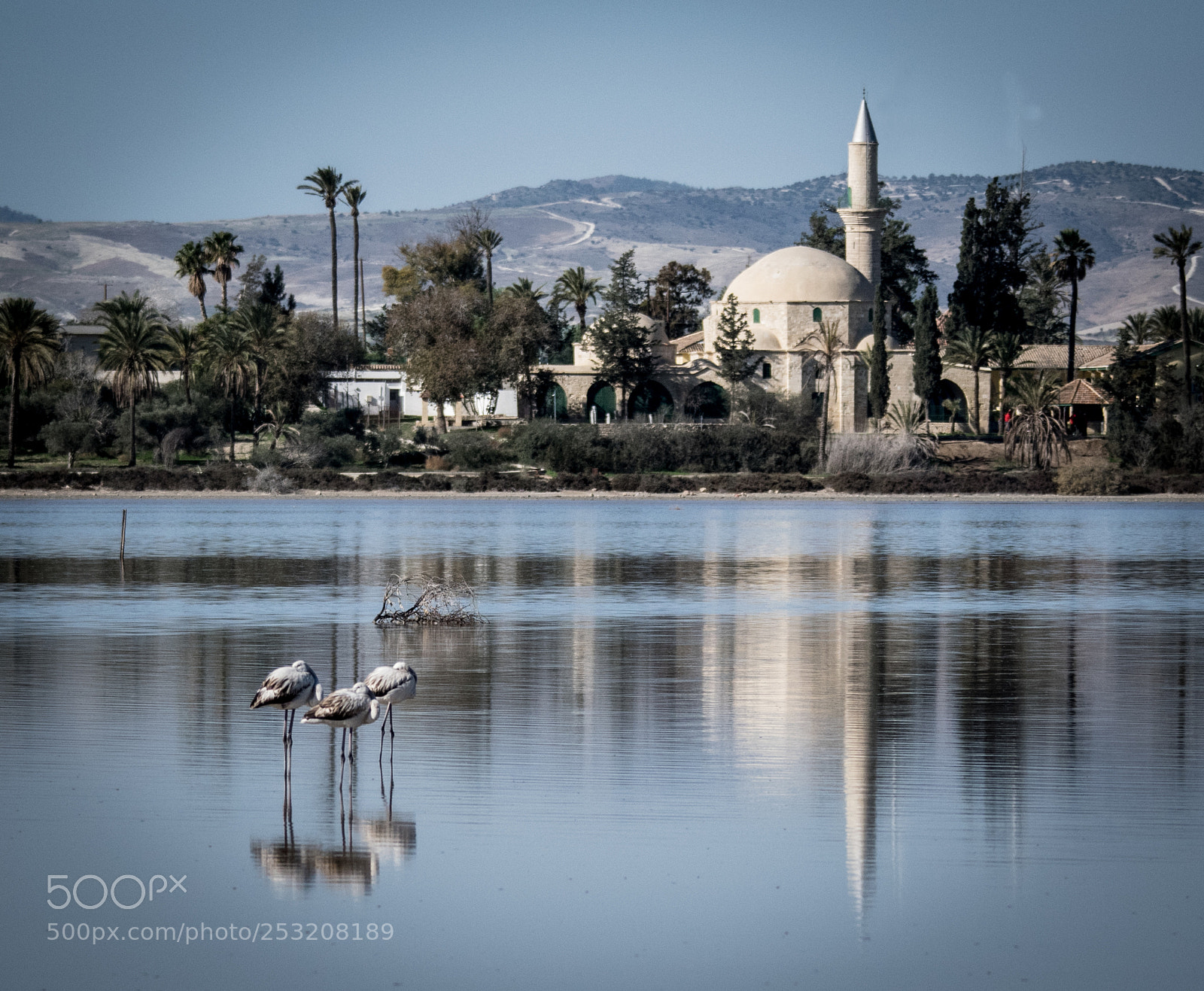 Nikon D5300 sample photo. Hala sultan mosque photography
