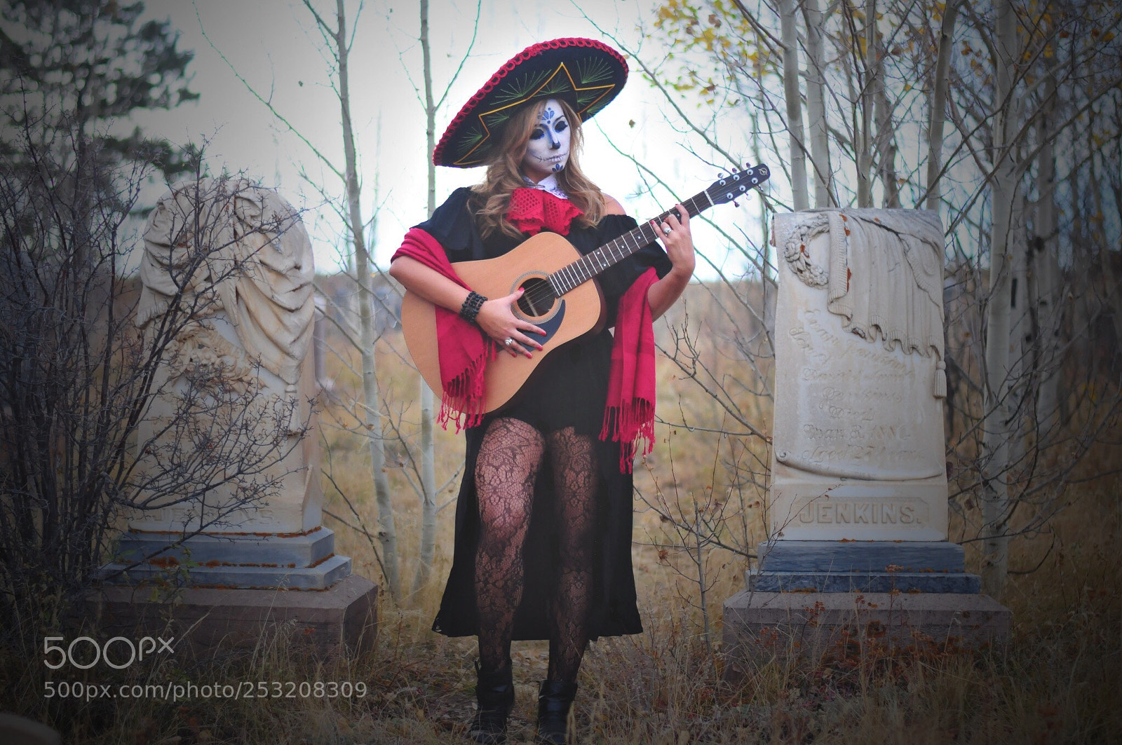 Nikon D300S sample photo. Untitled photography