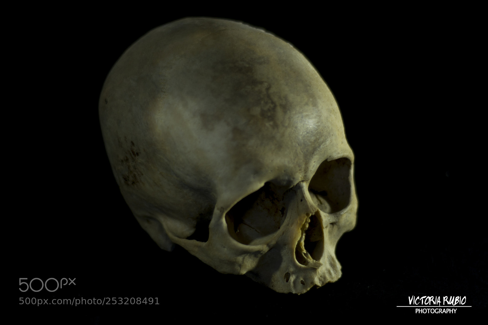 Nikon D5200 sample photo. Death photography