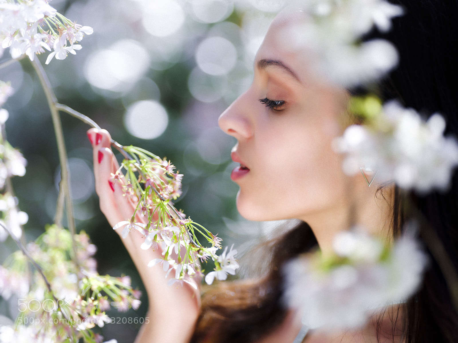 Fujifilm GFX 50S sample photo. Fleur de cerisier photography