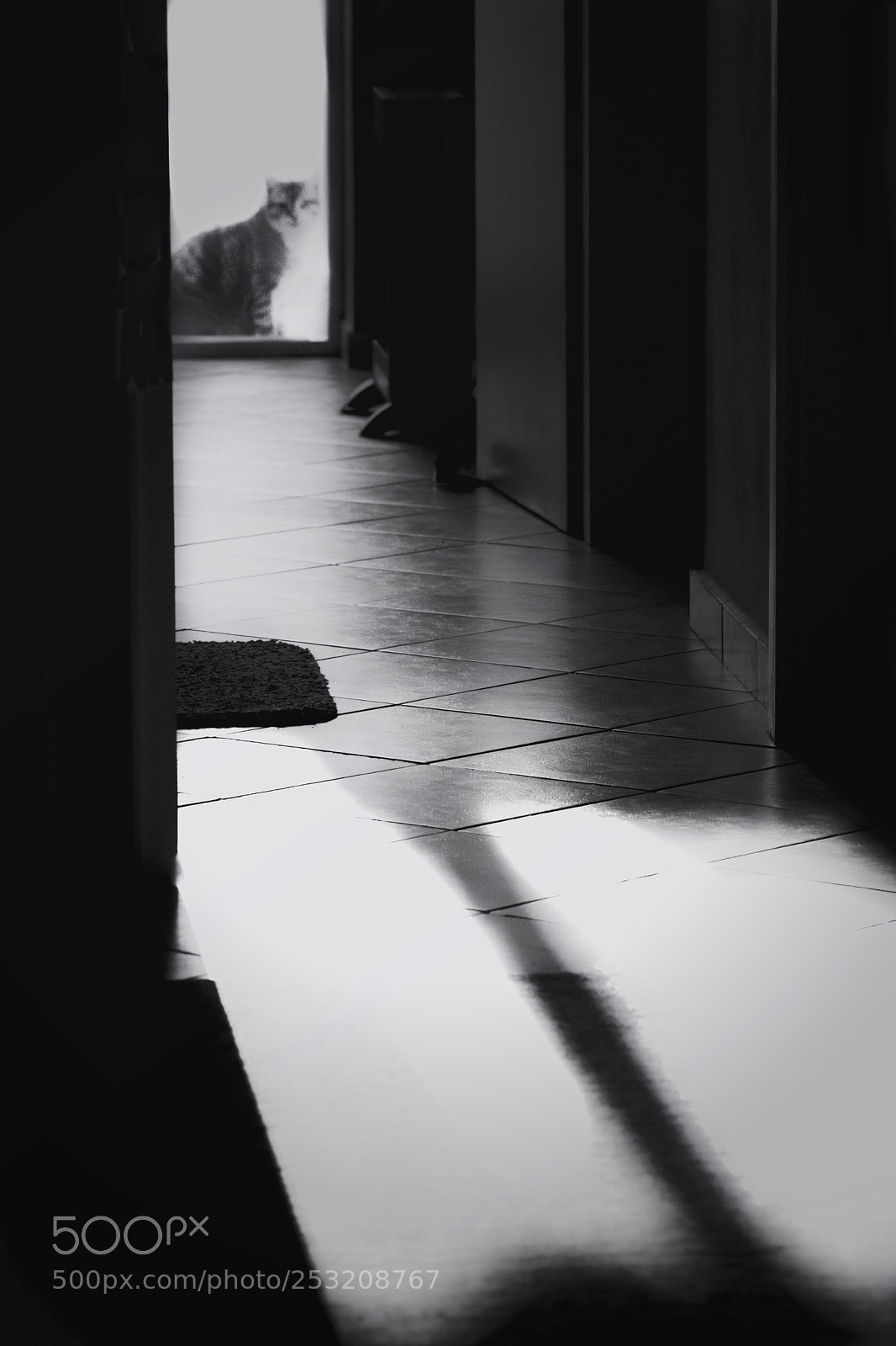 Nikon D7200 sample photo. Staring at the door photography