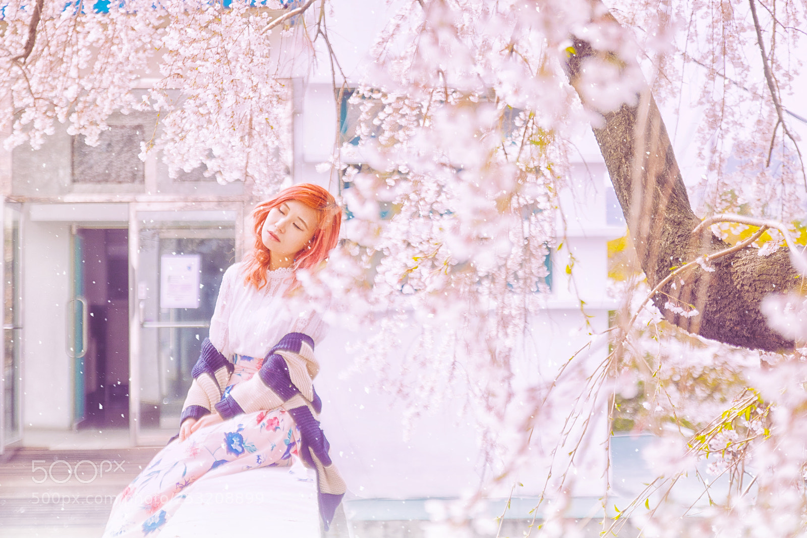 Canon EOS 750D (EOS Rebel T6i / EOS Kiss X8i) sample photo. Cherry blossom photography