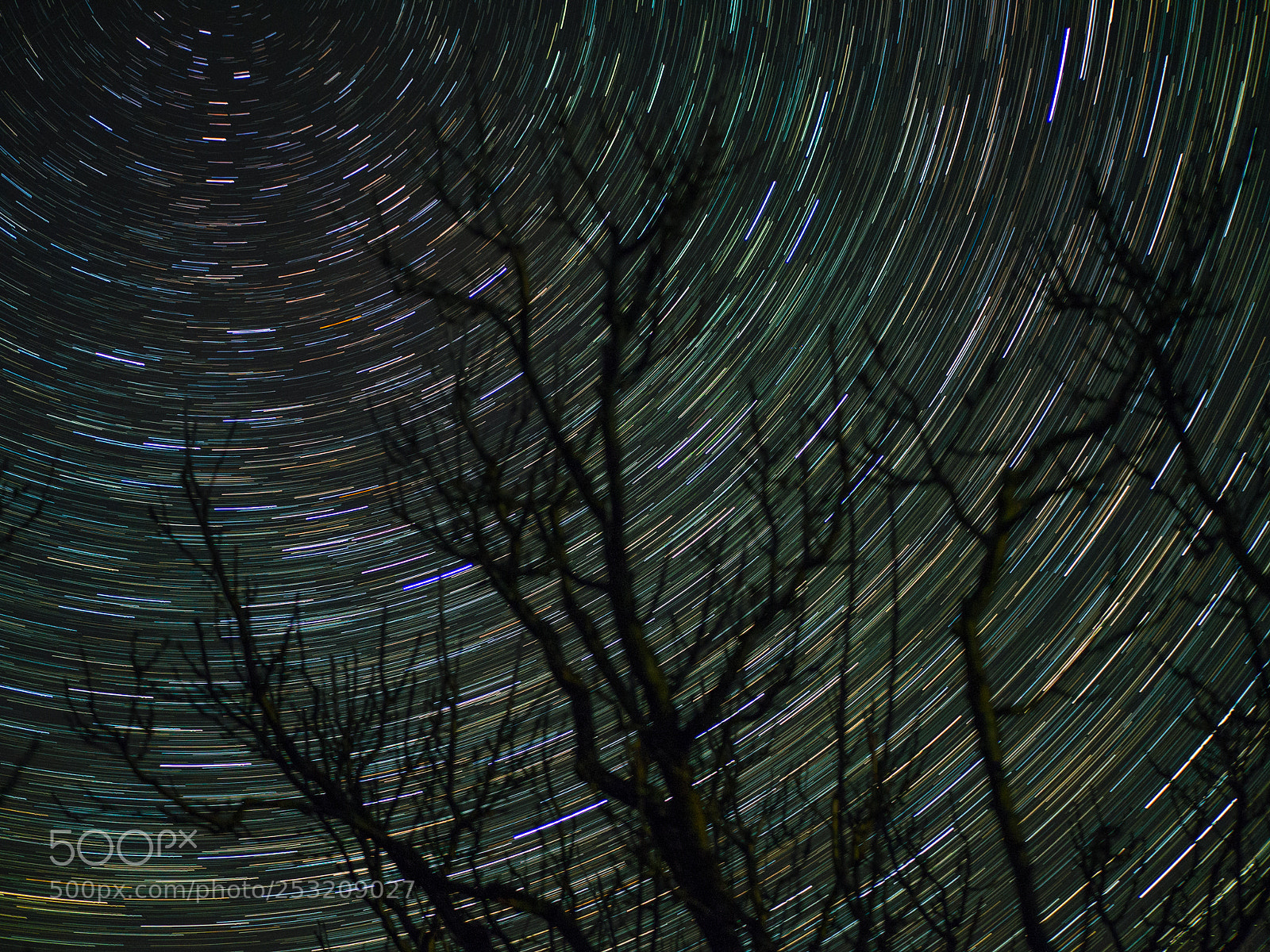 Olympus OM-D E-M10 II sample photo. Chasing stars photography