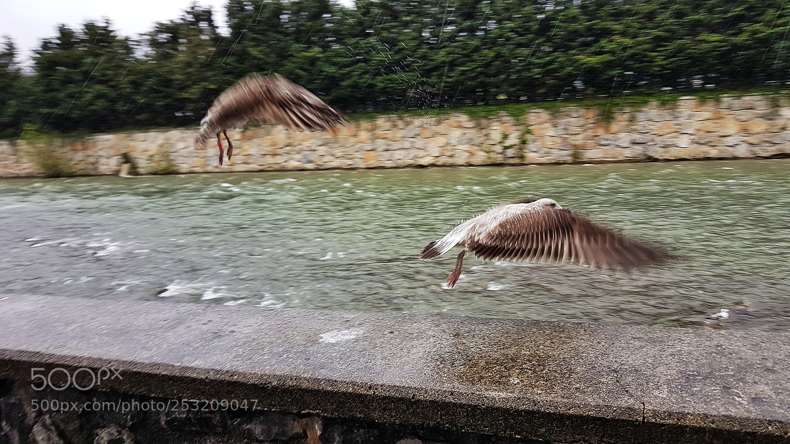 Samsung Galaxy S7 Edge sample photo. Untitled photography
