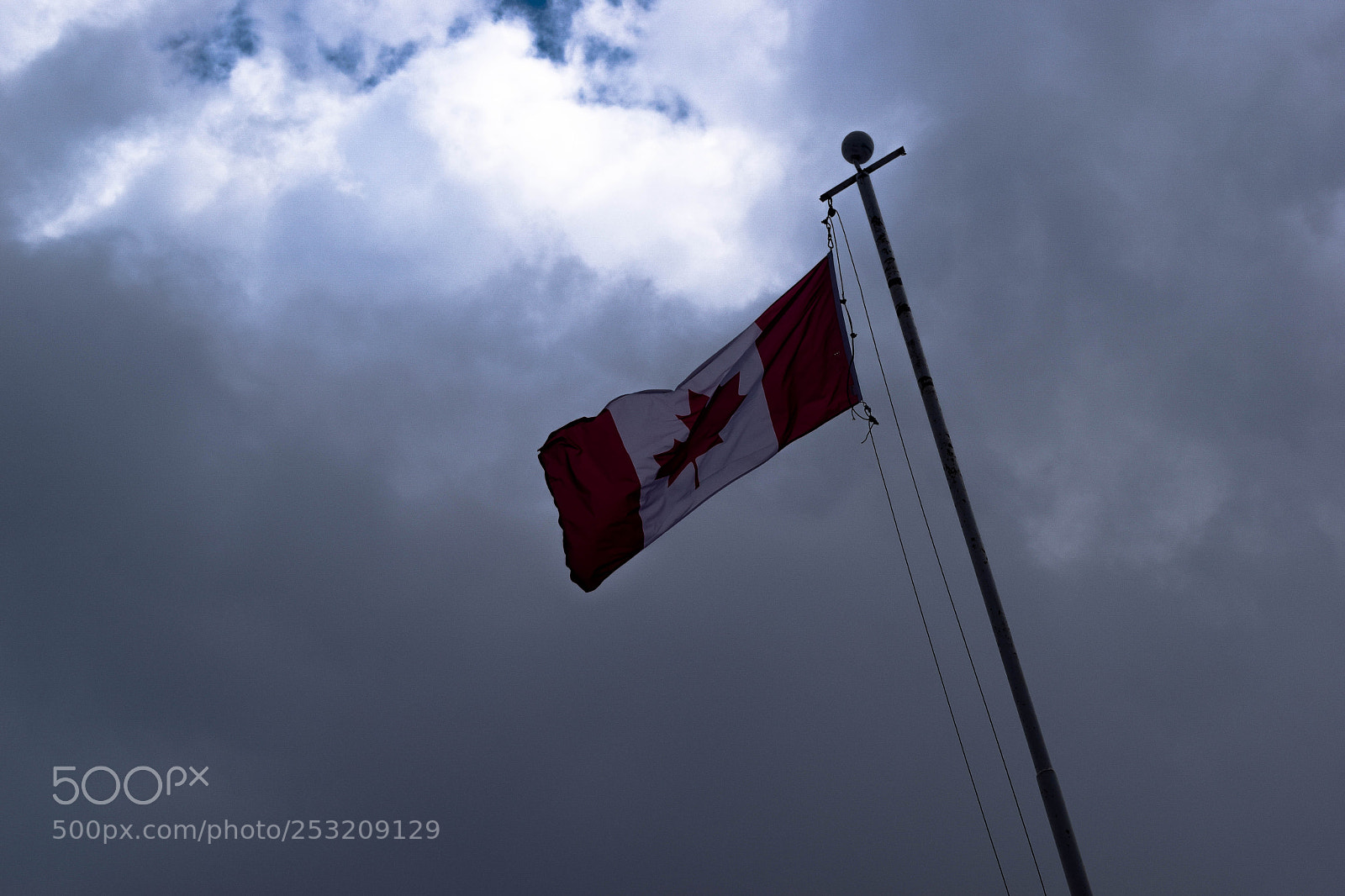 Nikon D3300 sample photo. Canadian flag photography