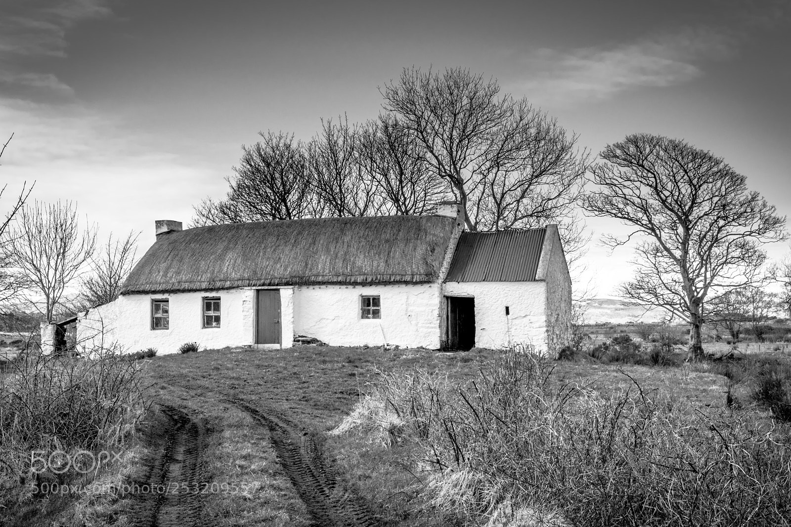 Nikon D5300 sample photo. Rural cottage photography