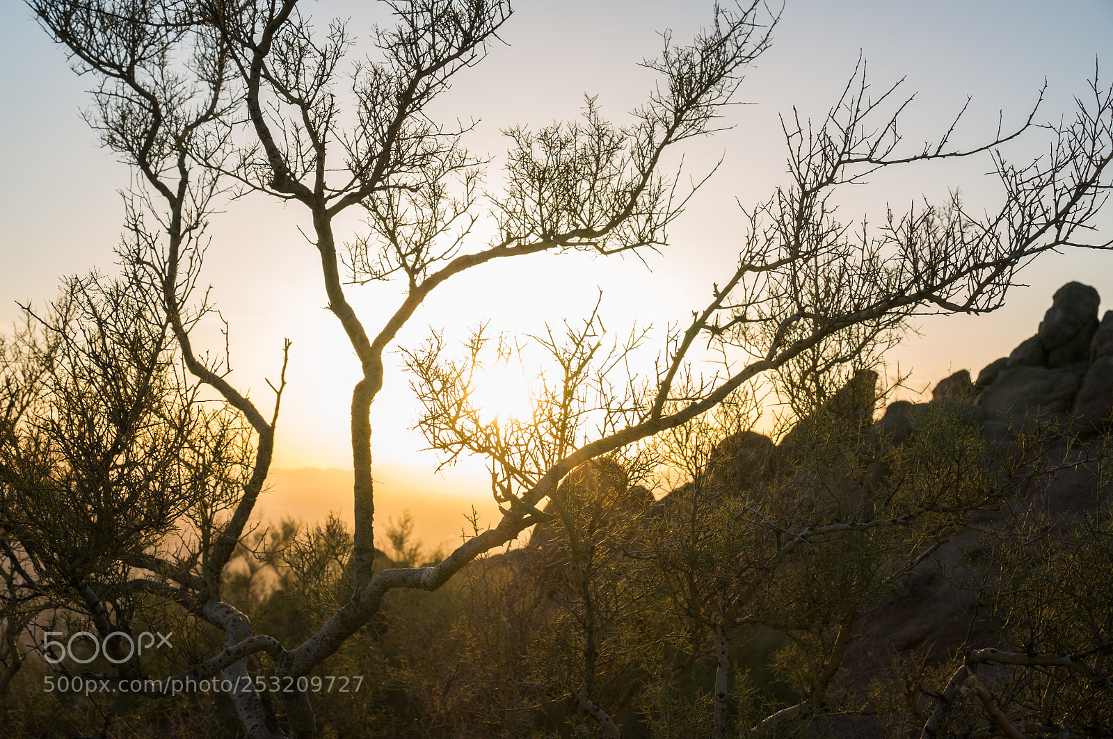 Sony Alpha NEX-6 sample photo. Sunset @ camelback photography