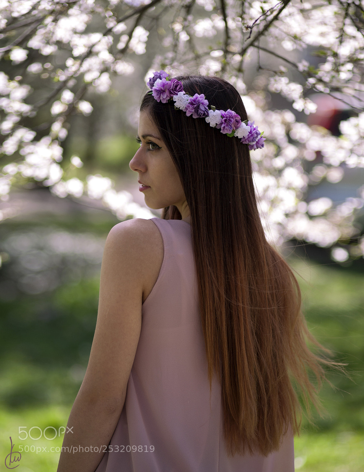 Canon EOS 5D sample photo. A. photography