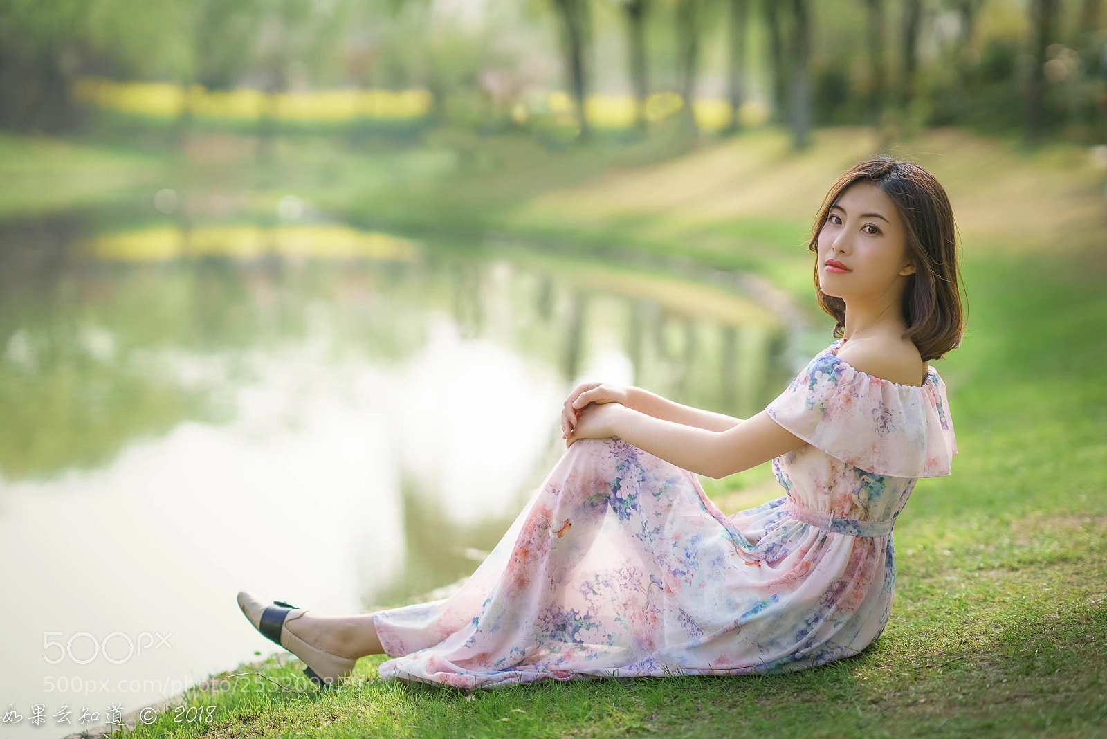 Sony a7R II sample photo. Untitled photography