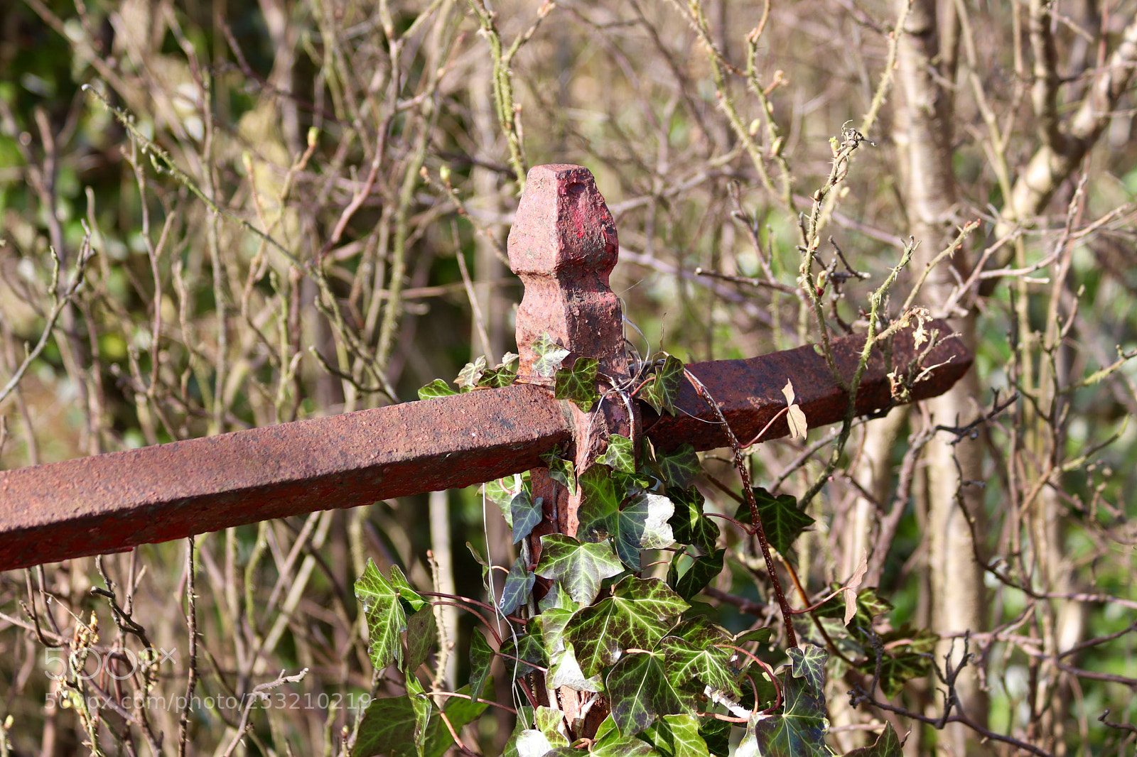 Canon EOS 77D (EOS 9000D / EOS 770D) sample photo. Handrail on an old photography