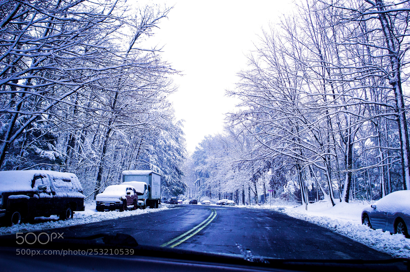 Nikon D3200 sample photo. A winter wonderland❄️ photography