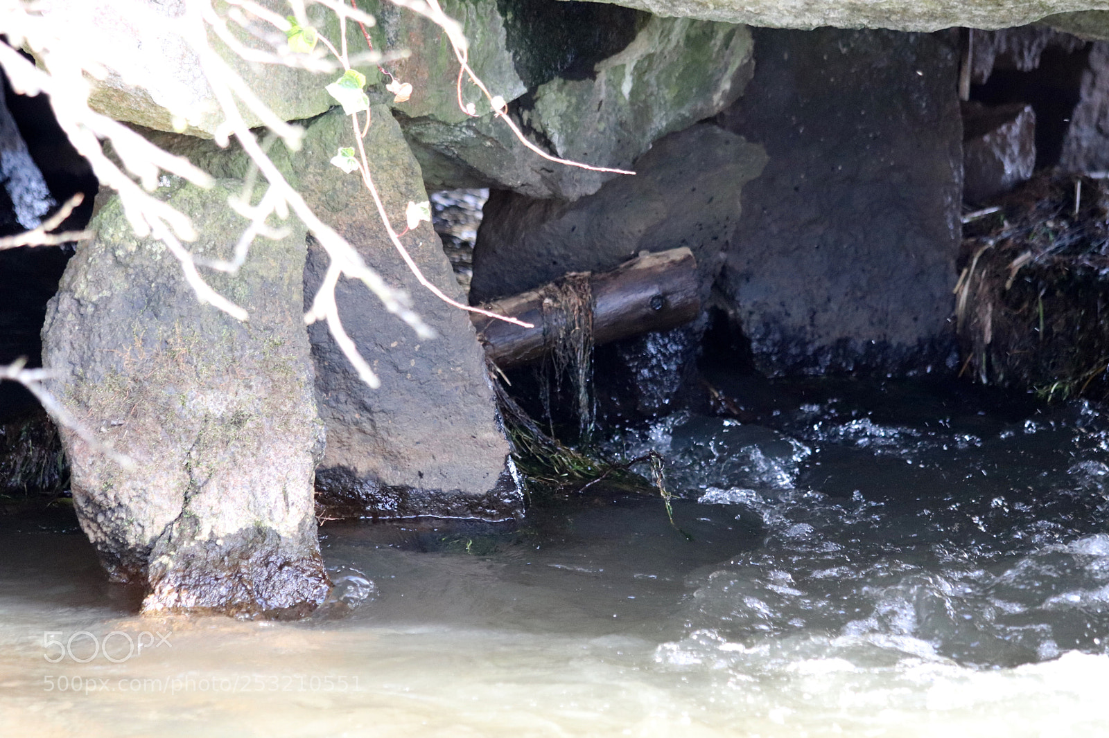 Canon EOS 77D (EOS 9000D / EOS 770D) sample photo. The pillars under the photography