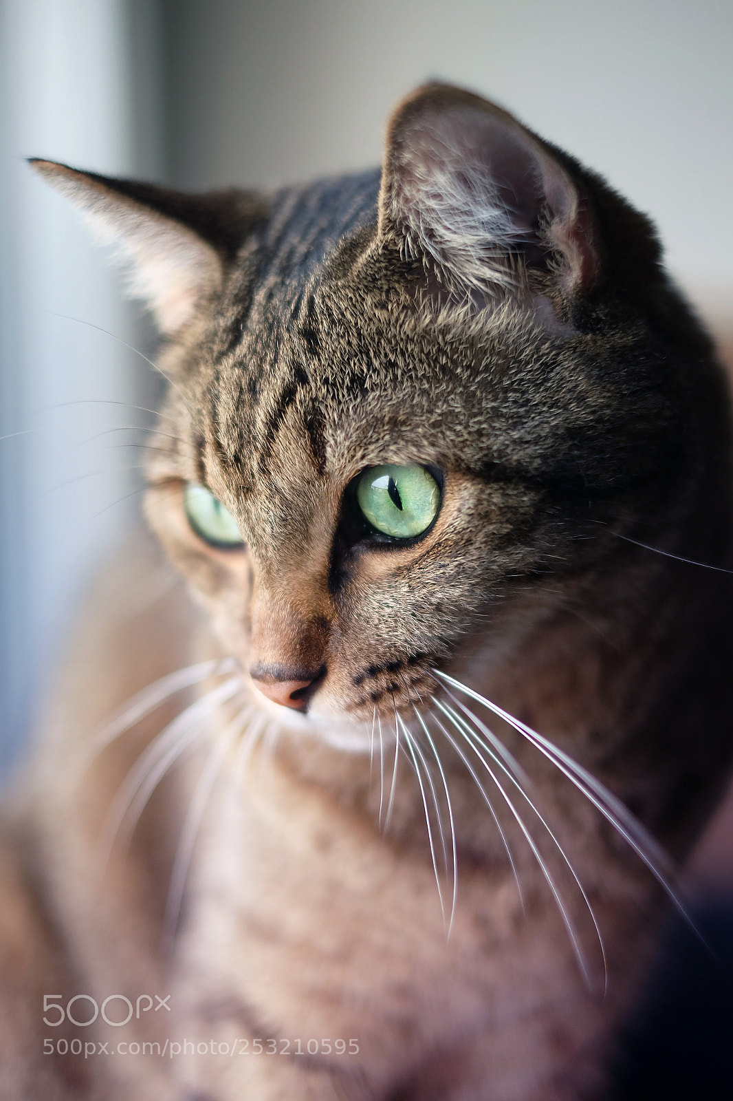 Fujifilm X-T1 sample photo. Twin soul photography