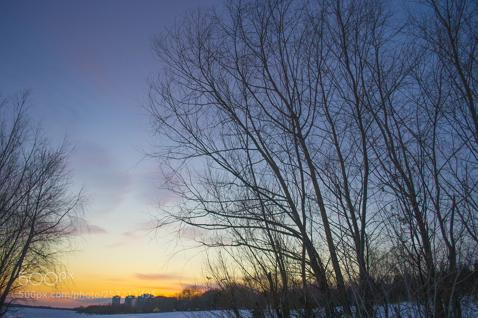 Nikon D3100 sample photo. Омск, Советский парк photography