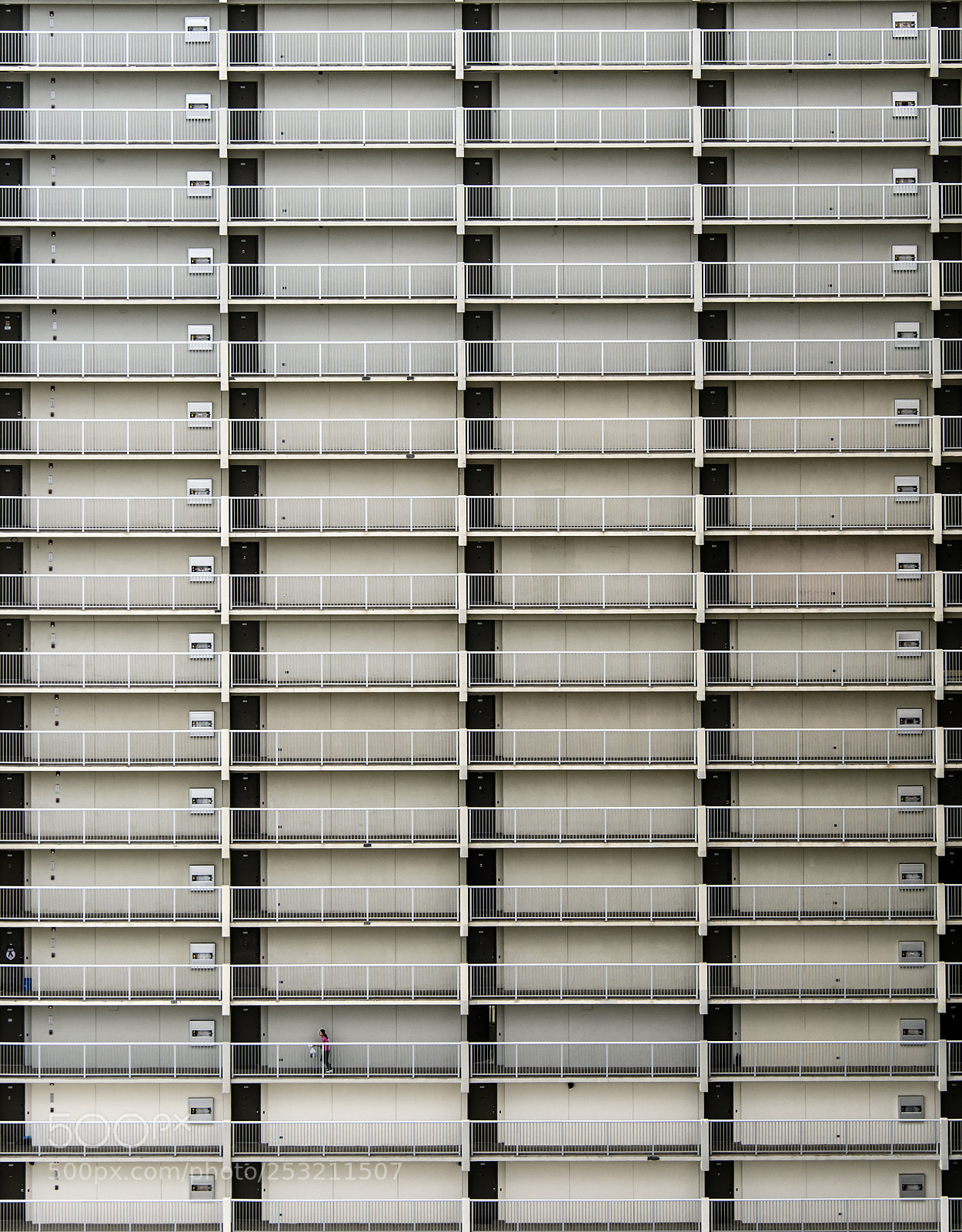 Nikon D810 sample photo. Taking out the trash photography