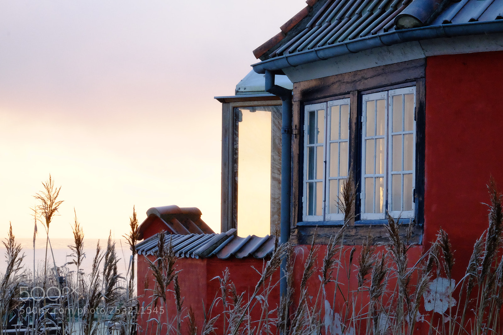 Fujifilm X-T10 sample photo. Mikkelgaard photography