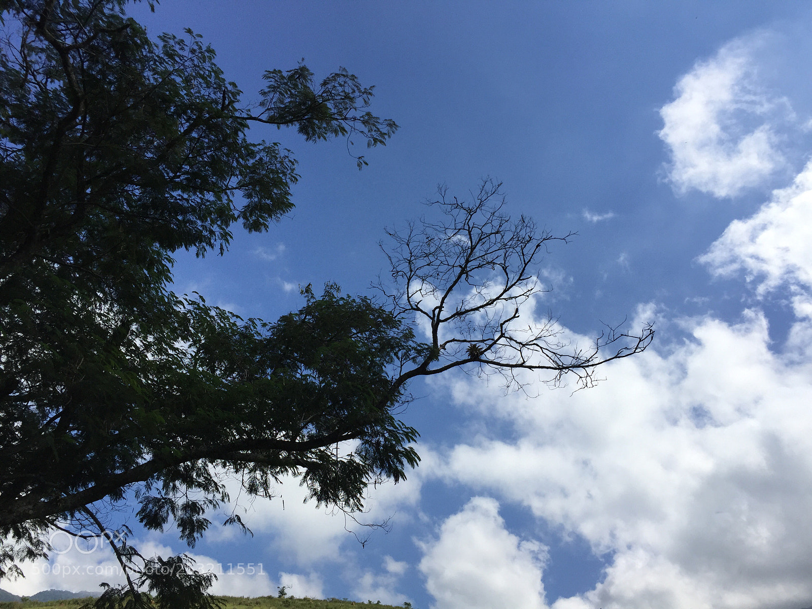 Apple iPhone 6 sample photo. Untitled photography