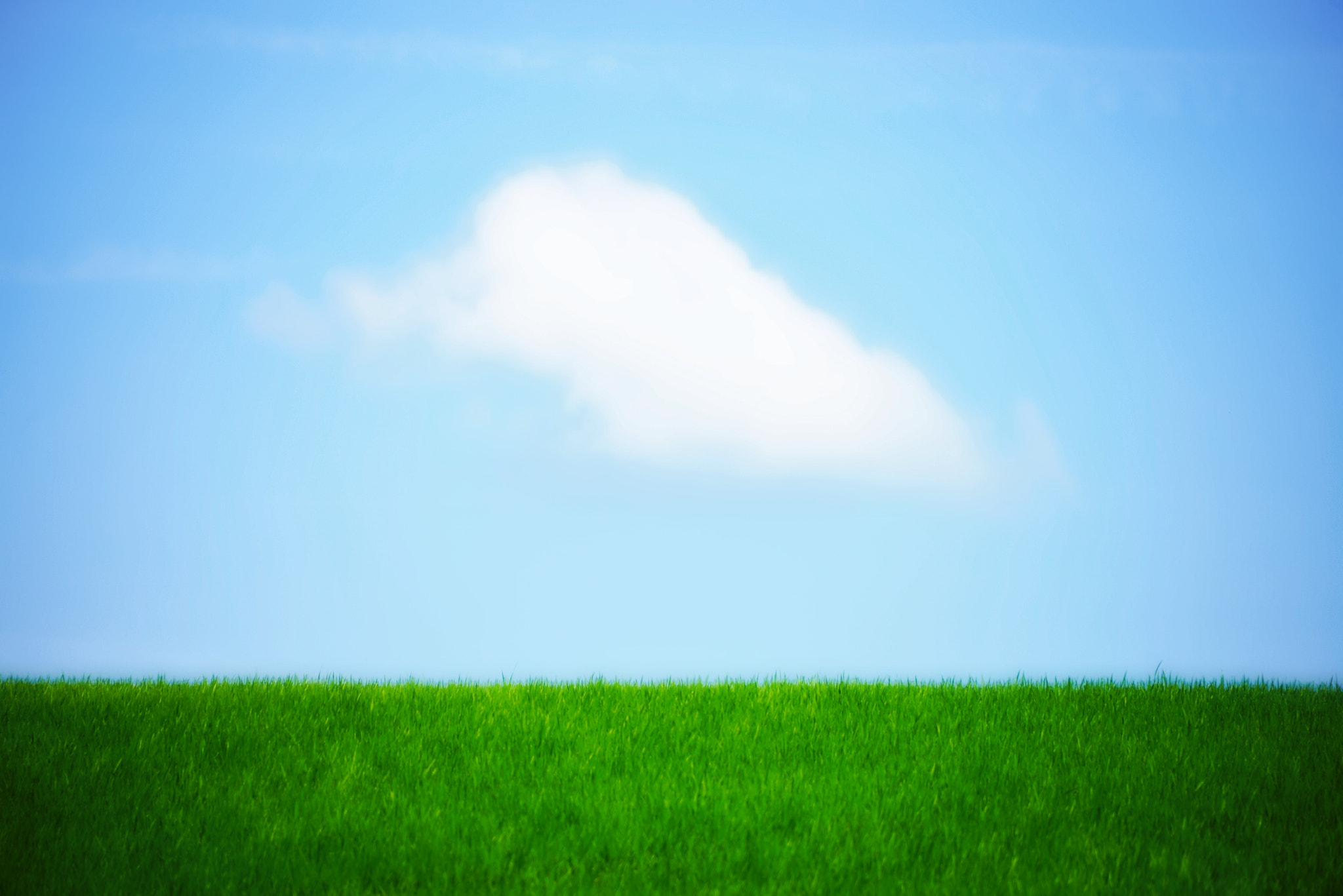 Nikon D600 sample photo. Dreamy photography