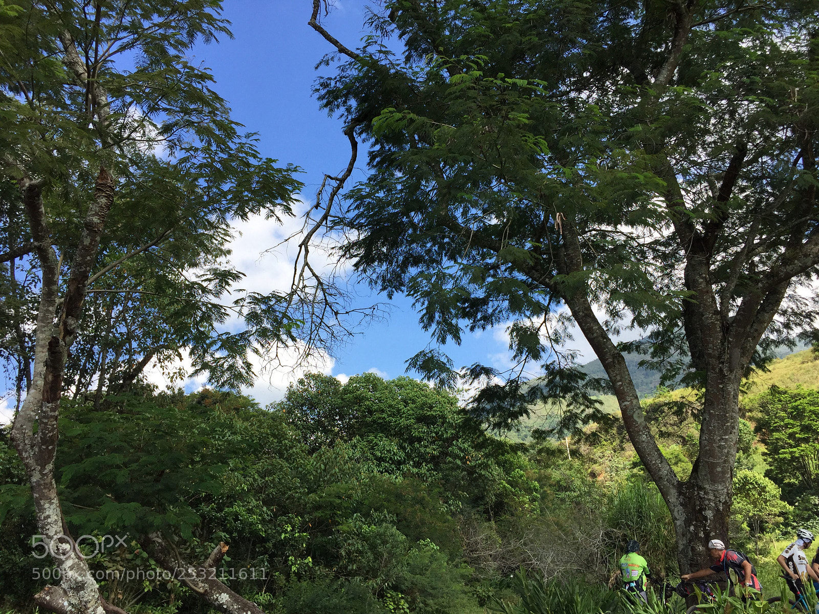 Apple iPhone 6 sample photo. Untitled photography