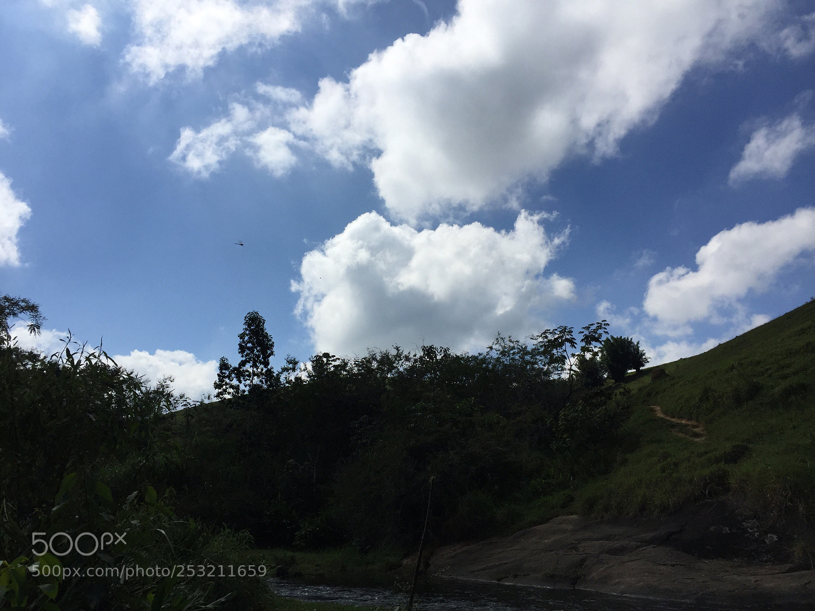 Apple iPhone 6 sample photo. Untitled photography