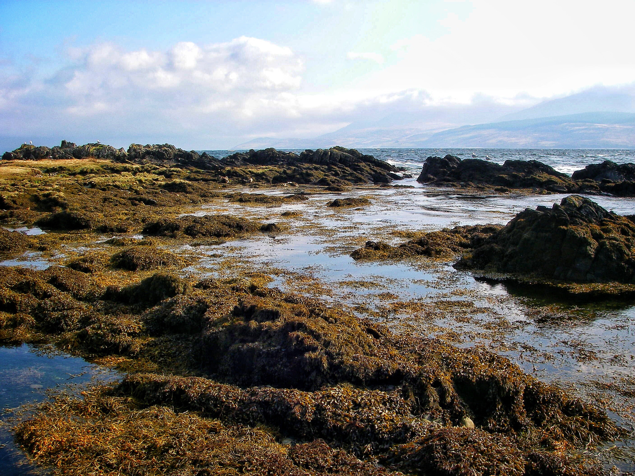 Pentax OPTIO W10 sample photo. Tide’s out, kilbrannan sound  photography